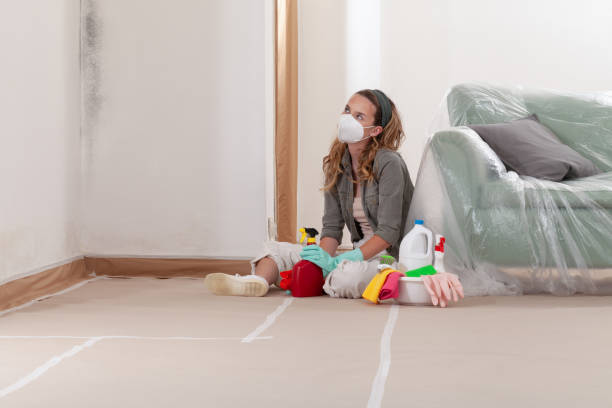 Reliable Mold Remediation contractor in Parrish, FL by WQB Mold Removal